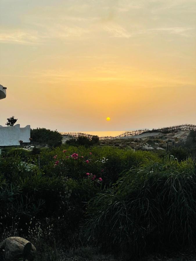 Zaffiro Casa Vacanze Al Mare Valledoria  Exterior foto